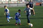 Parent Matches